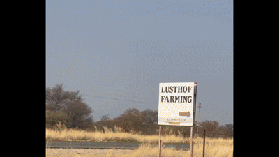 Dras accumsan nulla nec lacus ultricies placerat.