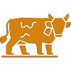 projects icon