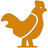 projects icon