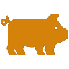 projects icon