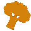 projects icon